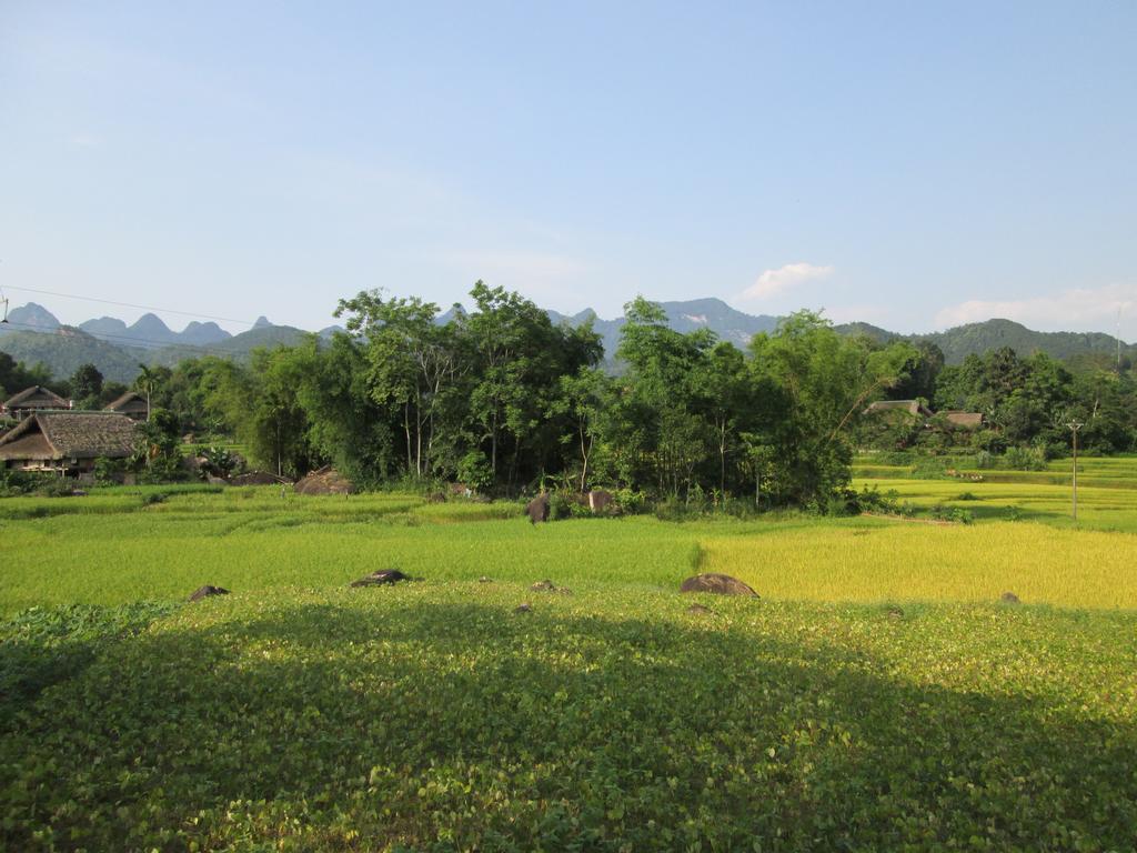 Dong Que Homestay-Tours-Motorbike, Car Rental, Hiking ها جيانج المظهر الخارجي الصورة